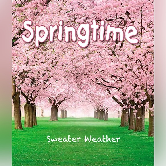 Copy - Picture 5 of 7